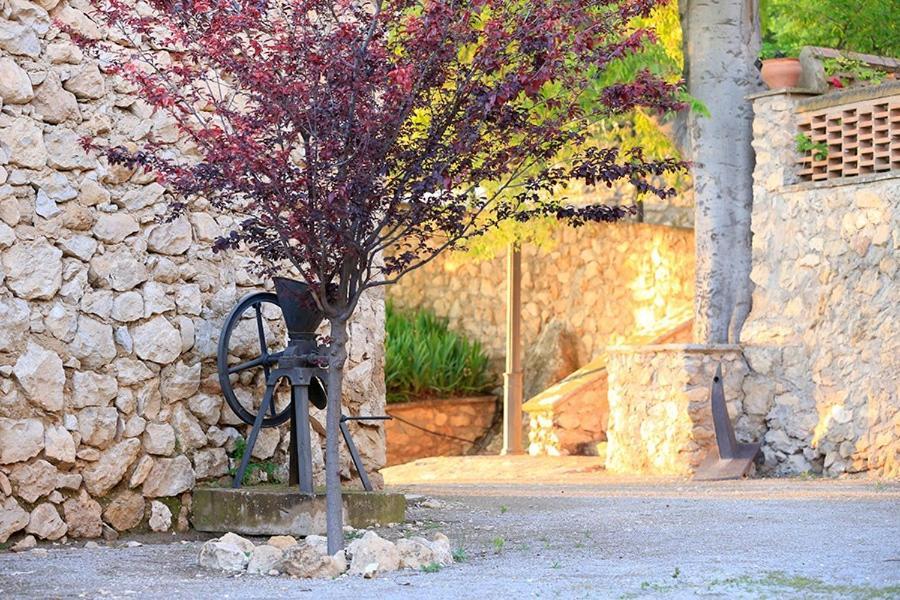 Cortijo El Chorreadero En Parque Natural Sierra De Cazorla Los Rosales  외부 사진